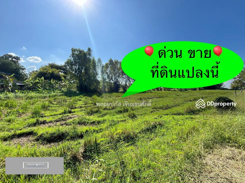 For Sale - ถนนร่องแซง, Saraburi