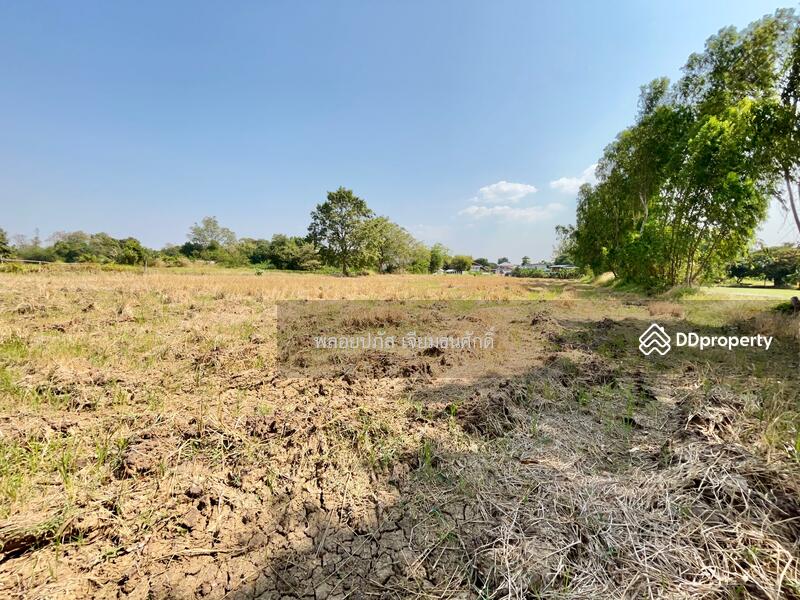 For Sale - ถนนร่องแซง, Saraburi