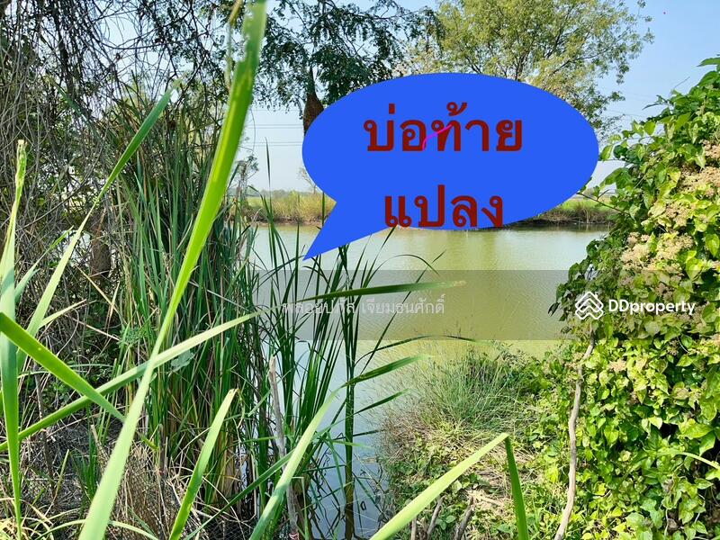 For Sale - ถนนร่องแซง, Saraburi