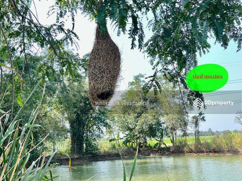 For Sale - ถนนร่องแซง, Saraburi