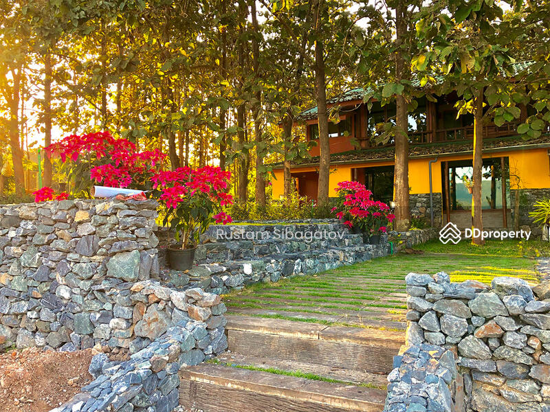 For Sale - Luxury Modern Teak Forest Farm in Chiang Mai, Chiang Mai