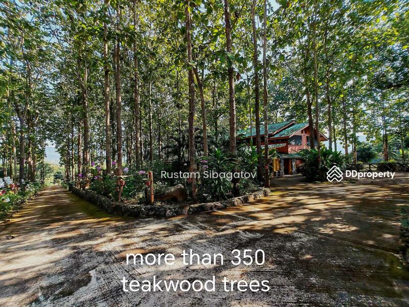 For Sale - Luxury Modern Teak Forest Farm in Chiang Mai, Chiang Mai