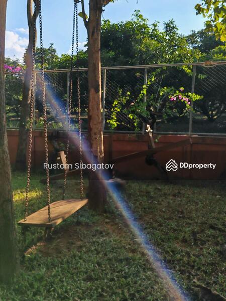 For Sale - Luxury Modern Teak Forest Farm in Chiang Mai, Chiang Mai