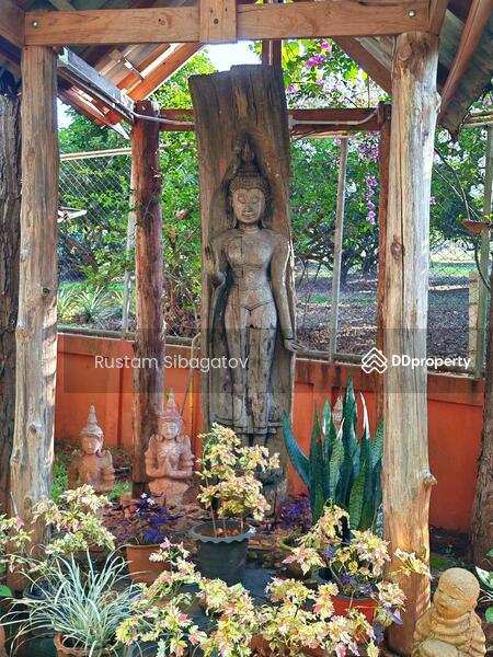 For Sale - Luxury Modern Teak Forest Farm in Chiang Mai, Chiang Mai