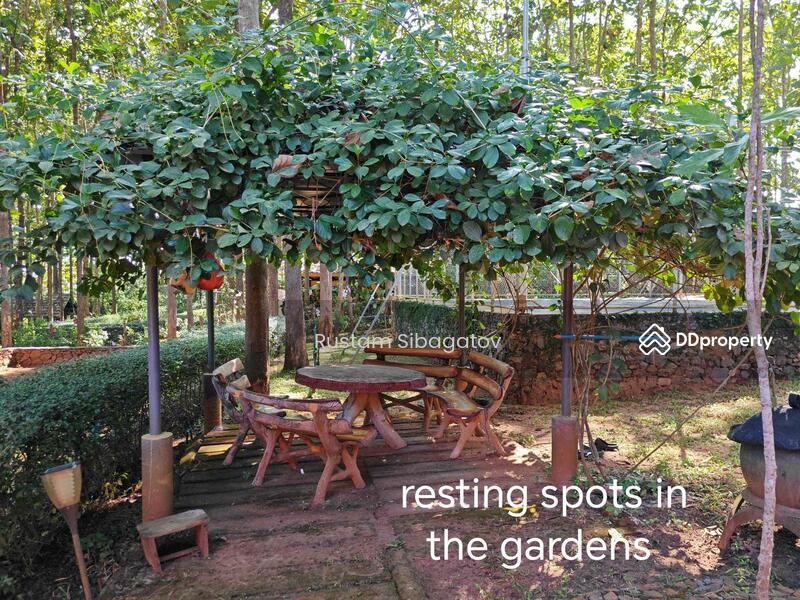 For Sale - Luxury Modern Teak Forest Farm in Chiang Mai, Chiang Mai