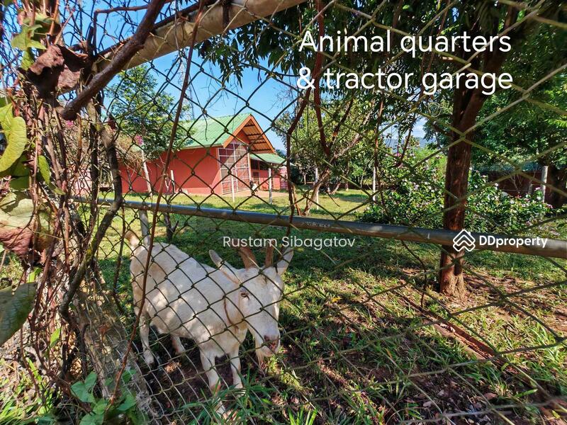 For Sale - Luxury Modern Teak Forest Farm in Chiang Mai, Chiang Mai