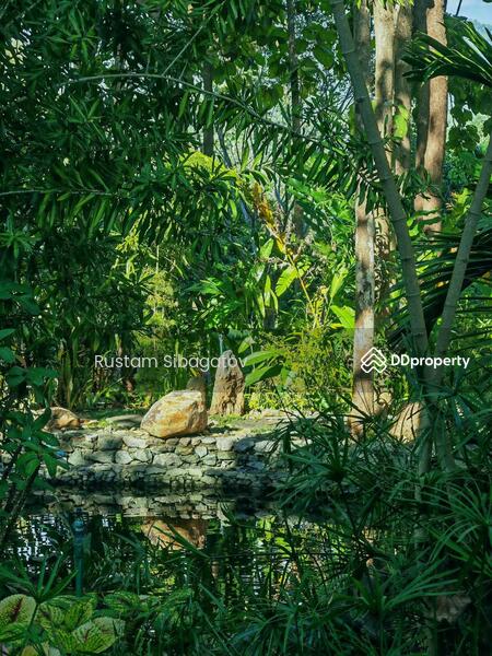 For Sale - Luxury Modern Teak Forest Farm in Chiang Mai, Chiang Mai