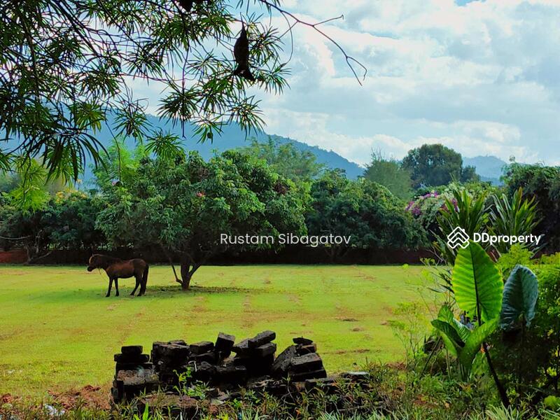 For Sale - Luxury Modern Teak Forest Farm in Chiang Mai, Chiang Mai