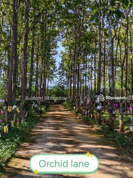 For Sale - Luxury Modern Teak Forest Farm in Chiang Mai, Chiang Mai