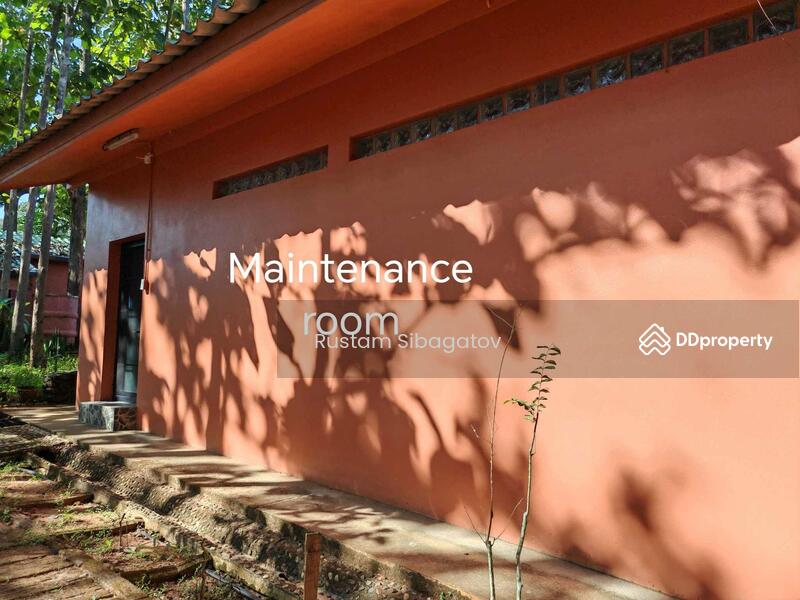 For Sale - Luxury Modern Teak Forest Farm in Chiang Mai, Chiang Mai