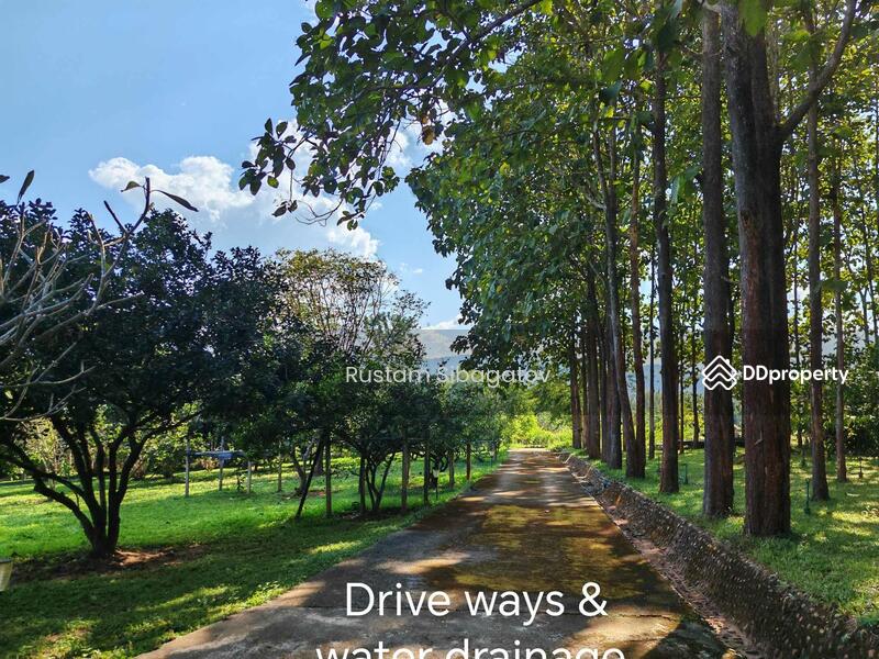 For Sale - Luxury Modern Teak Forest Farm in Chiang Mai, Chiang Mai