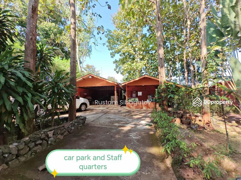 For Sale - Luxury Modern Teak Forest Farm in Chiang Mai, Chiang Mai