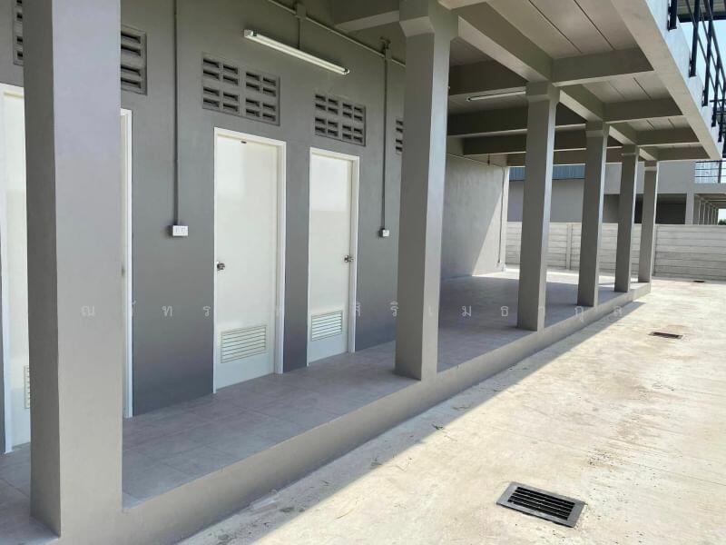 ให้เช่า - The Matrix : เดอะ แมทริกซ์, นครปฐม