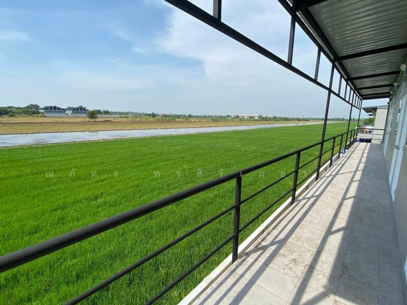 ให้เช่า - The Matrix : เดอะ แมทริกซ์, นครปฐม