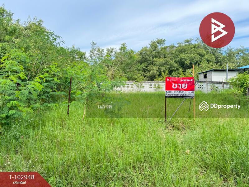 ขาย - ที่ดินชะอำ เพชรบุรี, เพชรบุรี