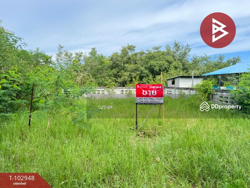 ขาย - ที่ดินชะอำ เพชรบุรี, เพชรบุรี