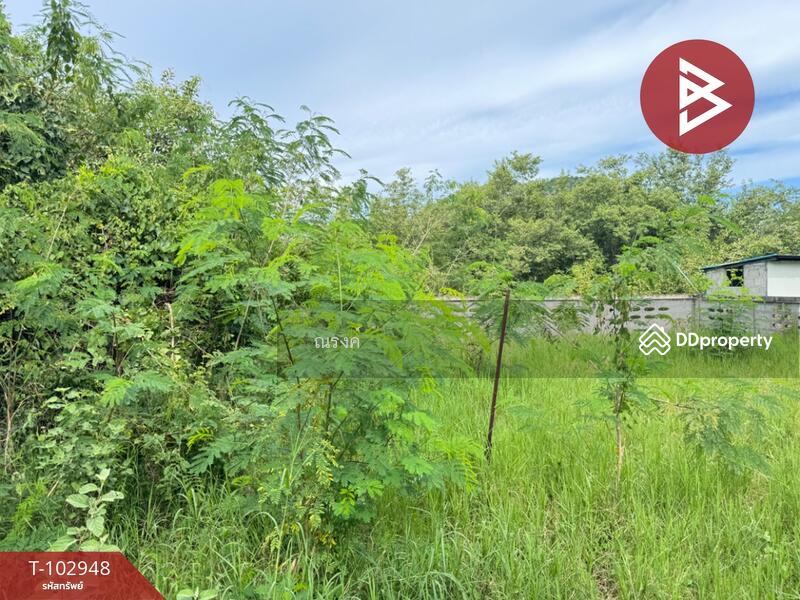 ขาย - ที่ดินชะอำ เพชรบุรี, เพชรบุรี