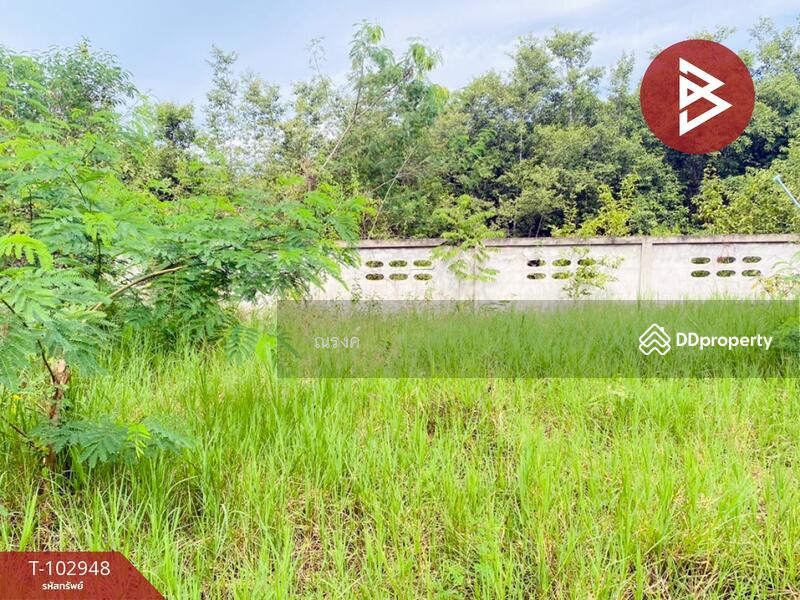 ขาย - ที่ดินชะอำ เพชรบุรี, เพชรบุรี