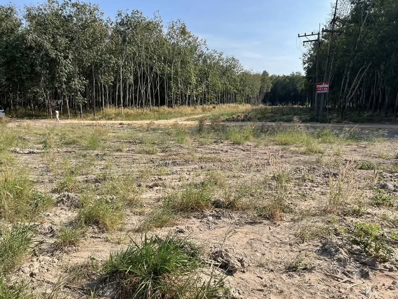 Land for sale in Mae Nam Khu, 4 rai, on Road 3191, Rayong, Mae Nam Khu, Pluak Daeng, Rayong, , 6,800 sqm, Land For Sale, by RICHWELL INTERPLUS, 11726510 - DDproperty.com