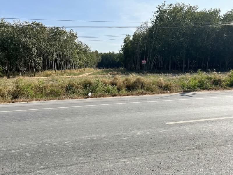 Land for sale in Mae Nam Khu, 4 rai, on Road 3191, Rayong, Mae Nam Khu, Pluak Daeng, Rayong, , 6,800 sqm, Land For Sale, by RICHWELL INTERPLUS, 11726510 - DDproperty.com
