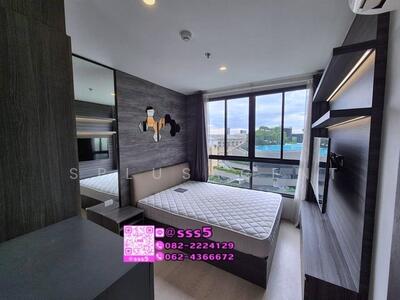 ขาย - Elio Del Nest : เอลิโอ เดล เนสท์, กรุงเทพ