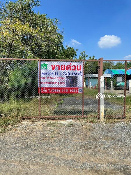ขาย - ขายที่ดินเปล่า 14-1-72 ไร่ หมู่บ้านท่งนา ต.ท่าหลวง อ.ท่าเรือ ถนนริมคลองระพีพัฒน์, พระนครศรีอยุธยา