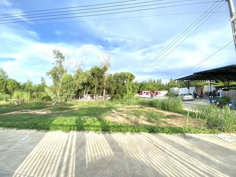 ขายที่ดินตะพงถมแล้วเนื้อที่ 52 ตรว. ติดถนนคอนกรีต ตะกาดสาย1 ใกล้ถ.สุขุมวิท3-500เมตร, ระยอง, ตะพง, เมืองระยอง, ระยอง, 212 ตร.ม., ที่ดิน ขาย, โดย RICHWELL INTERPLUS, 11727293 - DDproperty.com