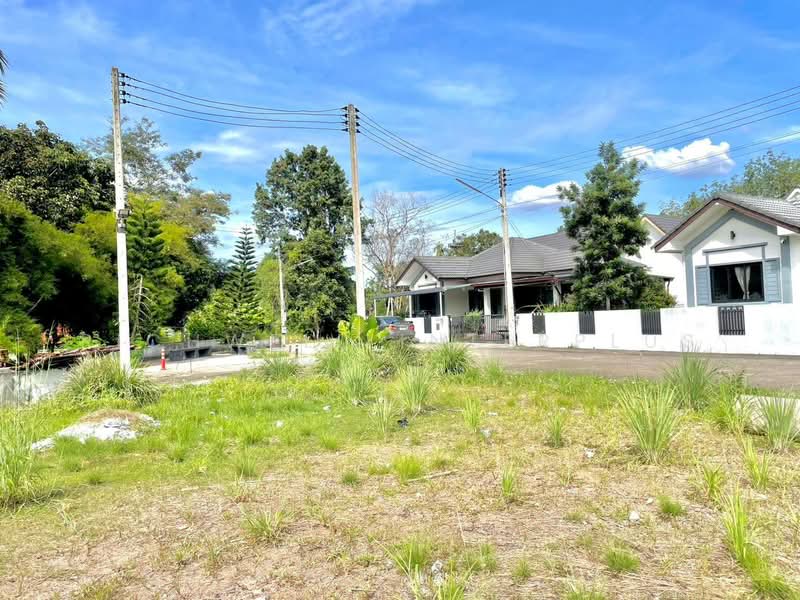 Land for sale, Takhan, filled in, area 249 sq.w., Soi Rongsi Nongkokmu,, Rayong, Ta Khan, Ban Khai, Rayong, , 996 sqm, Land For Sale, by RICHWELL INTERPLUS, 11727359 - DDproperty.com