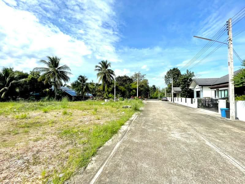 ขายที่ดินตาขันถมแล้วเนื้อที่ 249 ตรว. ซอยโรงสีหนองคอกหมู ใกล้ถนนเส้น6031-500 เมตร, ระยอง, ตาขัน, บ้านค่าย, ระยอง, 996 ตร.ม., ที่ดิน ขาย, โดย RICHWELL INTERPLUS, 11727359 - DDproperty.com