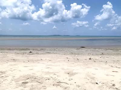 ขาย - ขายที่ดินโฉนดนส.4หน้ากว้างติดชายหาดเนื้อที่ 1 ไร่ ติดถนนคอนกรีต ใกล้หาดแหลมแม่พิมพ์, ระยอง