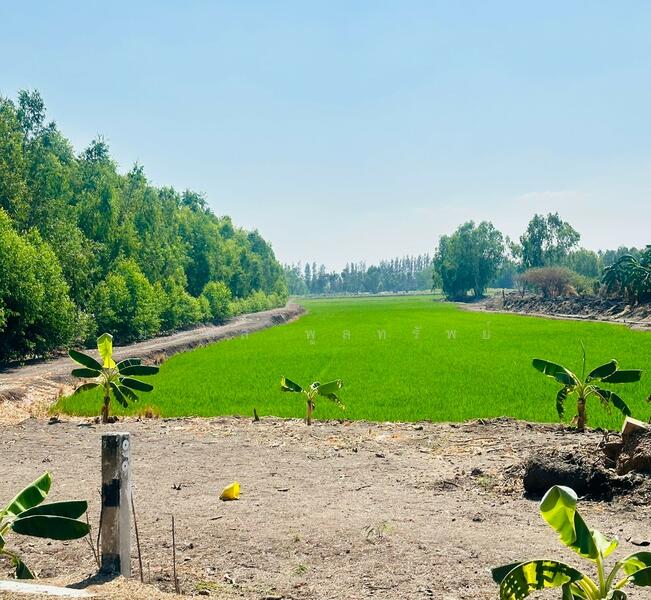 ขาย - ขายที่ดิน 12-2-83 ไร่ ใกล้ถนนใหญ่สาย 3056 โกล้โรจนะ ต.สามเรือน อ.บางปะอิน จ.อยุธยา, พระนครศรีอยุธยา