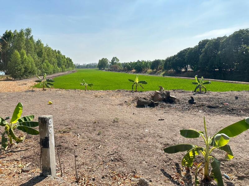 ขาย - ขายที่ดิน 12-2-83 ไร่ ใกล้ถนนใหญ่สาย 3056 โกล้โรจนะ ต.สามเรือน อ.บางปะอิน จ.อยุธยา, พระนครศรีอยุธยา