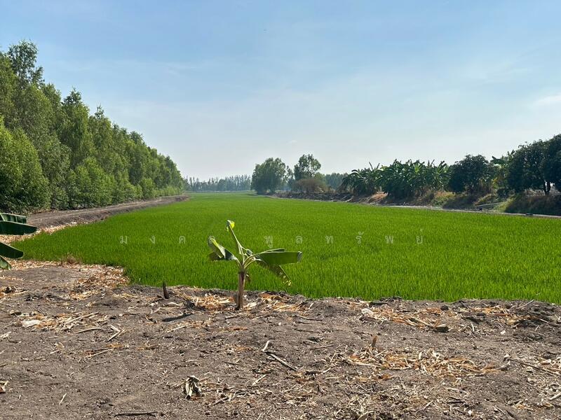 ขาย - ขายที่ดิน 12-2-83 ไร่ ใกล้ถนนใหญ่สาย 3056 โกล้โรจนะ ต.สามเรือน อ.บางปะอิน จ.อยุธยา, พระนครศรีอยุธยา