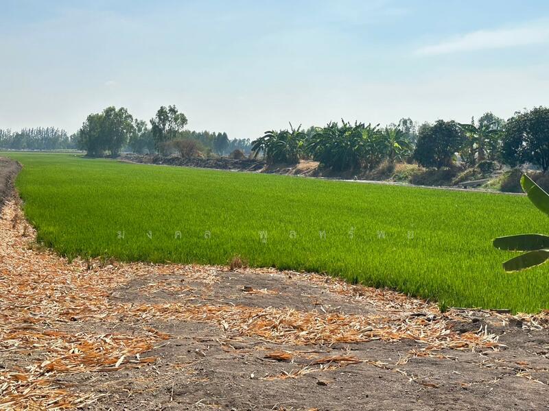 ขาย - ขายที่ดิน 12-2-83 ไร่ ใกล้ถนนใหญ่สาย 3056 โกล้โรจนะ ต.สามเรือน อ.บางปะอิน จ.อยุธยา, พระนครศรีอยุธยา