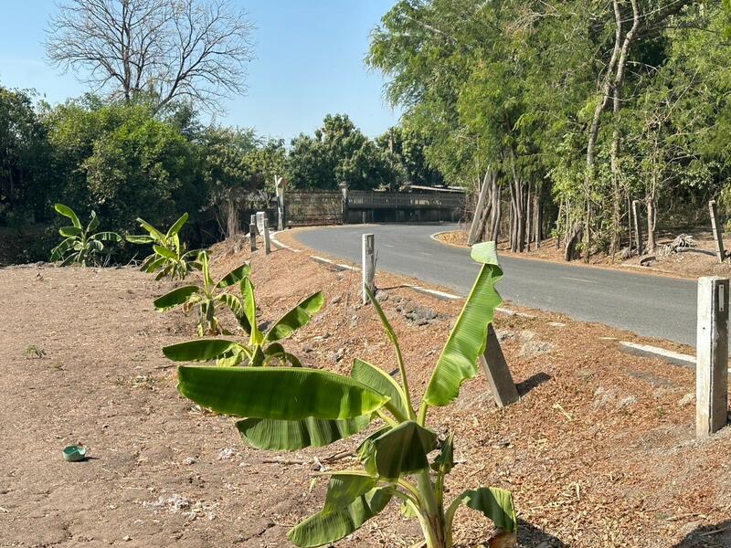 ขาย - ขายที่ดิน 12-2-83 ไร่ ใกล้ถนนใหญ่สาย 3056 โกล้โรจนะ ต.สามเรือน อ.บางปะอิน จ.อยุธยา, พระนครศรีอยุธยา