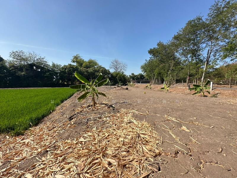 ขาย - ขายที่ดิน 12-2-83 ไร่ ใกล้ถนนใหญ่สาย 3056 โกล้โรจนะ ต.สามเรือน อ.บางปะอิน จ.อยุธยา, พระนครศรีอยุธยา