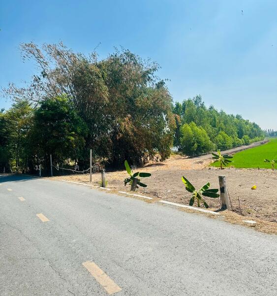 ขาย - ขายที่ดิน 12-2-83 ไร่ ใกล้ถนนใหญ่สาย 3056 โกล้โรจนะ ต.สามเรือน อ.บางปะอิน จ.อยุธยา, พระนครศรีอยุธยา