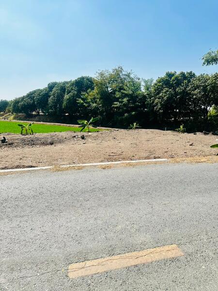 ขาย - ขายที่ดิน 12-2-83 ไร่ ใกล้ถนนใหญ่สาย 3056 โกล้โรจนะ ต.สามเรือน อ.บางปะอิน จ.อยุธยา, พระนครศรีอยุธยา