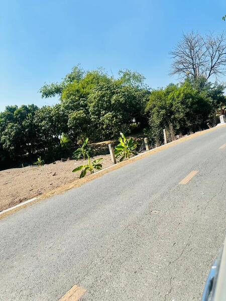 ขาย - ขายที่ดิน 12-2-83 ไร่ ใกล้ถนนใหญ่สาย 3056 โกล้โรจนะ ต.สามเรือน อ.บางปะอิน จ.อยุธยา, พระนครศรีอยุธยา