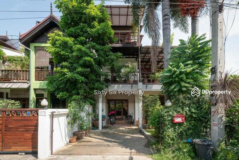 ขาย - วัดอุโมค์, สุเทพ, เชียงใหม่