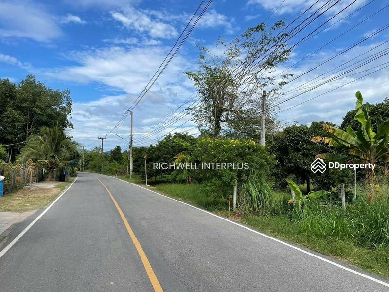 For Sale - Land for sale in Natakwan, next to a paved road, area 197 sq.wa., near road 3139-800 meters., Rayong