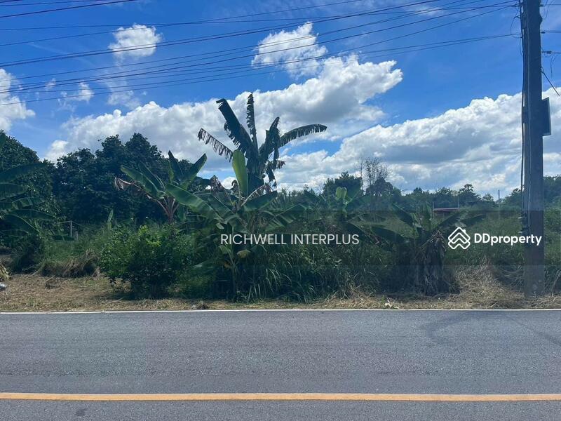 For Sale - Land for sale in Natakwan, next to a paved road, area 197 sq.wa., near road 3139-800 meters., Rayong