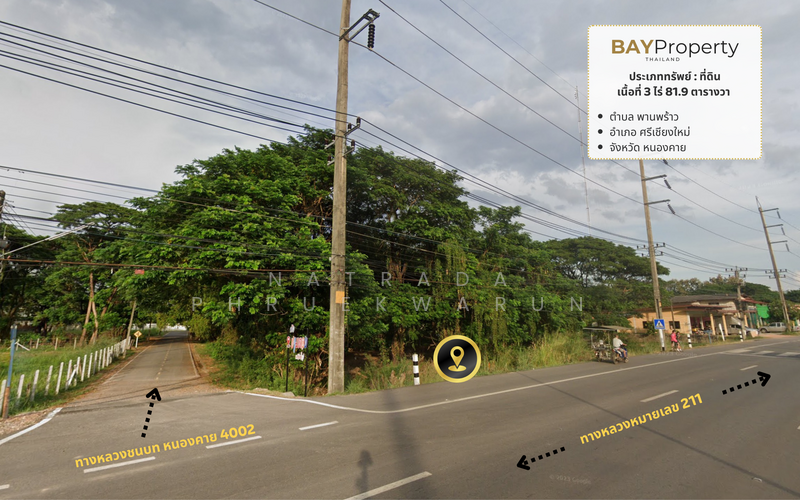 ขาย - ที่ดินในศรีเชียงใหม่, หนองคาย