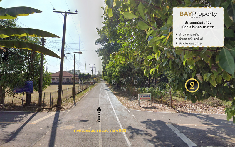 ขาย - ที่ดินในศรีเชียงใหม่, หนองคาย