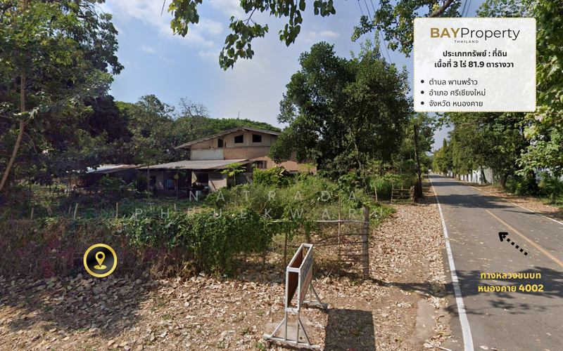 ขาย - ที่ดินในศรีเชียงใหม่, หนองคาย