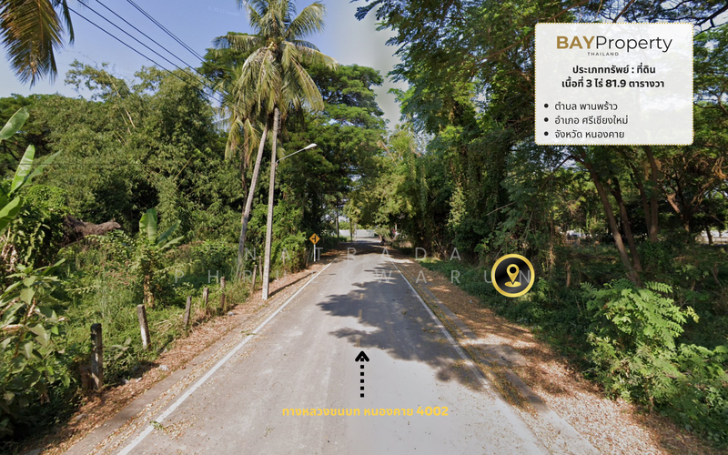 ขาย - ที่ดินในศรีเชียงใหม่, หนองคาย