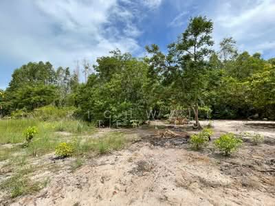 ขาย - ขายที่ดินเชิงเนิน เมืองระยอง 100 ตรว. ซอยบุญเหลือถมแล้วใกล้หาดแหลมเจริญ-5กม., ระยอง