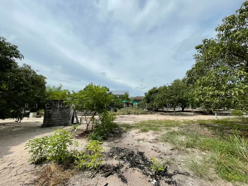 ขายที่ดินเชิงเนิน เมืองระยอง 100 ตรว. ซอยบุญเหลือถมแล้วใกล้หาดแหลมเจริญ-5กม., ระยอง, เชิงเนิน, เมืองระยอง, ระยอง, 400 ตร.ม., ที่ดิน ขาย, โดย RICHWELL INTERPLUS, 11728031 - DDproperty.com