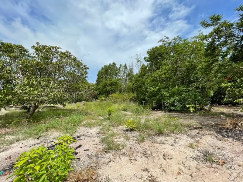 Land for sale in Cheing Nen, Rayong Province, 100 sq m., Soi Bun Lue, filled in,, Rayong, Choeng Noen, Muang Rayong, Rayong, , 400 sqm, Land For Sale, by RICHWELL INTERPLUS, 11728031 - DDproperty.com