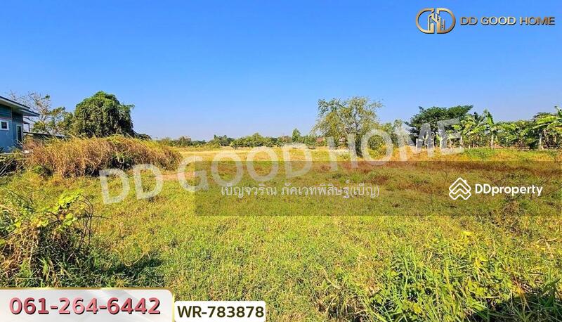 ขาย - ที่ดินพระยืน 2 ไร่ 242 ตร.ว. ขอนแก่น, ขอนแก่น